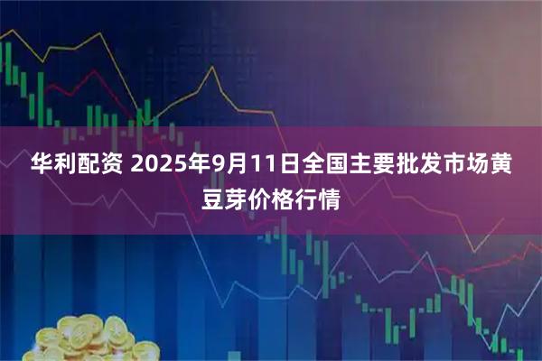华利配资 2025年9月11日全国主要批发市场黄豆芽价格行情