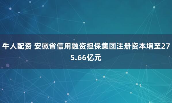 牛人配资 安徽省信用融资担保集团注册资本增至275.66亿元