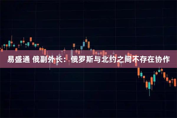 易盛通 俄副外长：俄罗斯与北约之间不存在协作