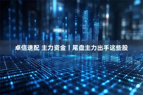 卓信速配 主力资金丨尾盘主力出手这些股